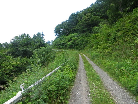 f0040525_20294838.jpg
