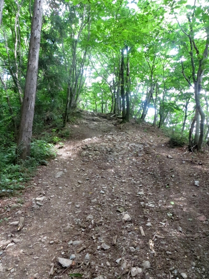 f0040525_202995.jpg