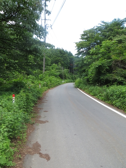 f0040525_20302228.jpg