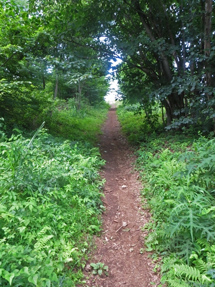 f0040525_20304870.jpg