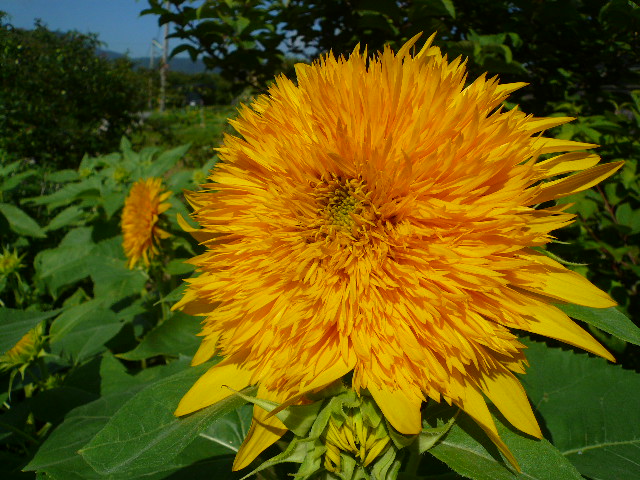 a0162330_12134415.jpg