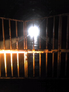 f0118332_21314540.jpg