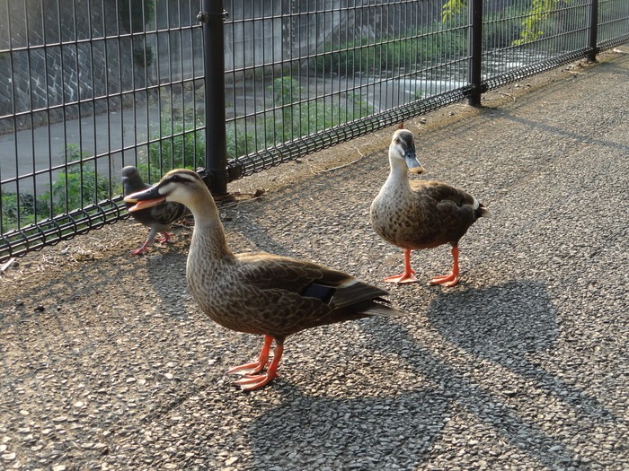 f0238932_17105561.jpg