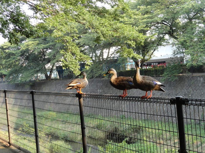f0238932_17122226.jpg