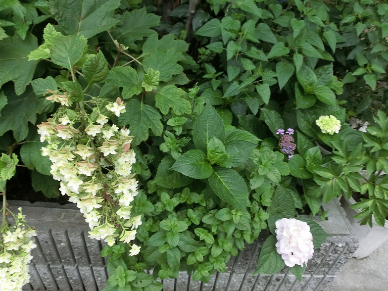 f0237037_42249.jpg