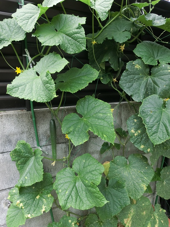 f0237037_428558.jpg