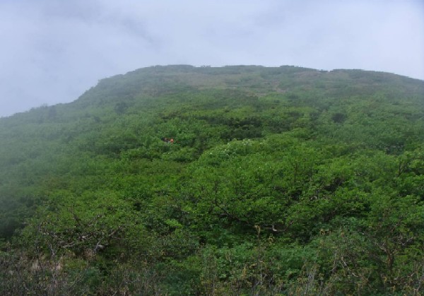 d0107938_12364431.jpg