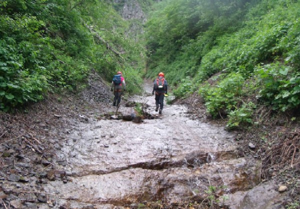 d0107938_12444154.jpg