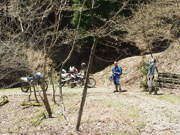 a0143839_0244698.jpg
