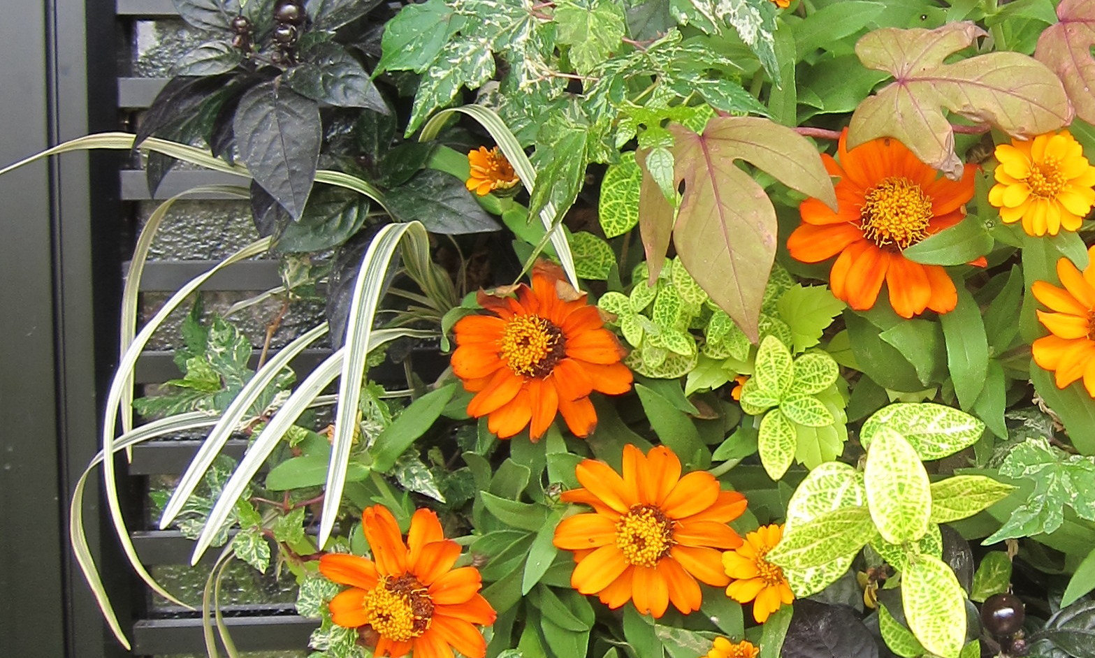 b0178339_1083120.jpg