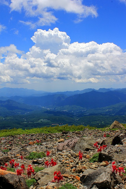 c0229539_13591432.jpg