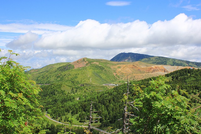 c0229539_146428.jpg