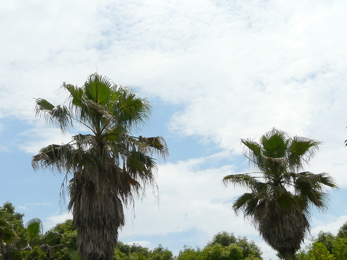 d0036742_22425615.jpg