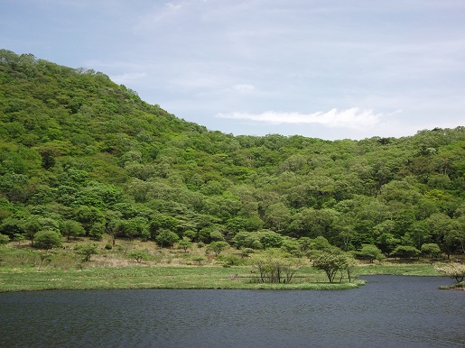 e0248844_1310662.jpg