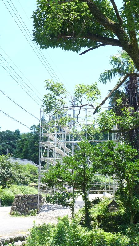 e0069646_7162147.jpg
