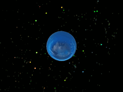 e0005548_23544211.gif