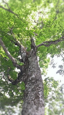 a0251851_1524980.jpg