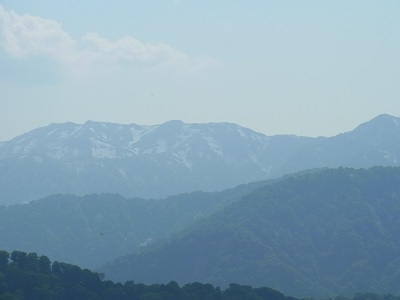 a0251851_1534615.jpg