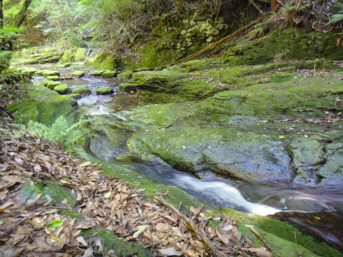 c0179351_11182810.jpg