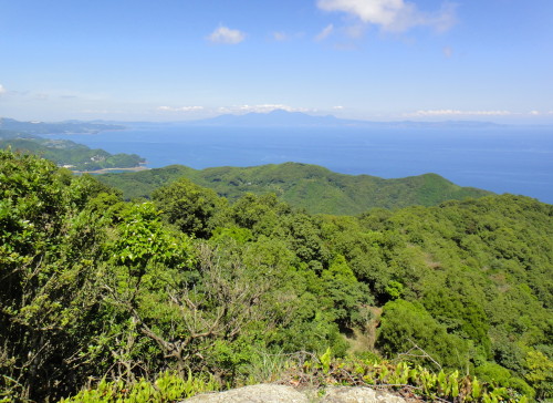 c0179351_112399.jpg