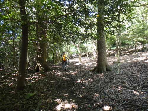 c0179351_11252666.jpg