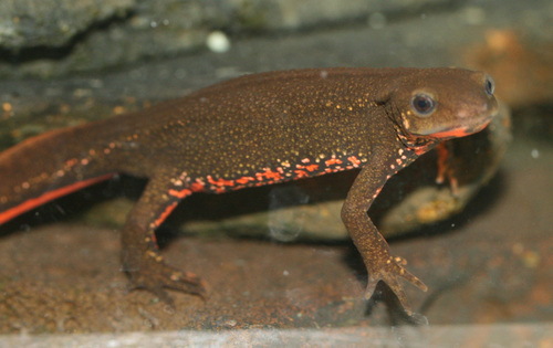 f0224952_16344465.jpg