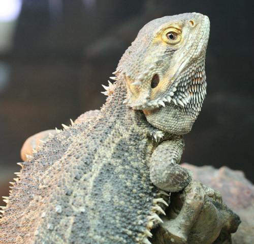 f0224952_165007.jpg