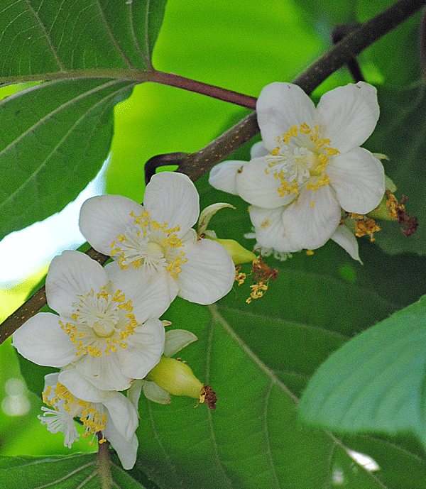 a0001354_19422413.gif