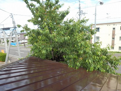 e0004756_21164566.jpg