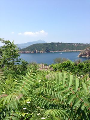 d0005157_0422132.jpg