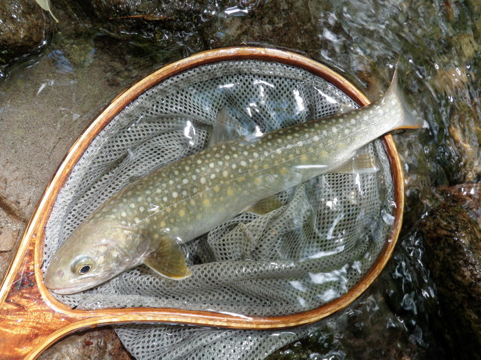 b0120066_1433658.jpg