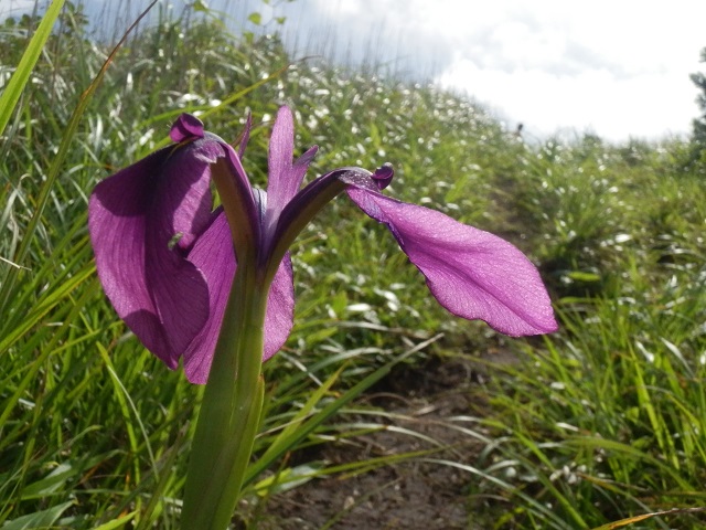 c0042869_1640149.jpg