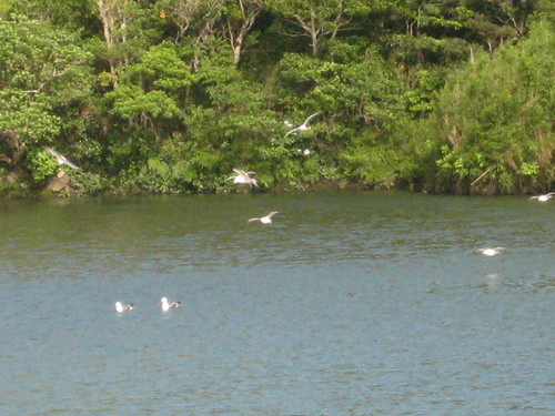 e0292172_20381041.jpg