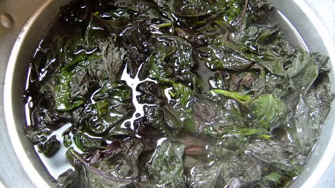 c0022275_958760.jpg