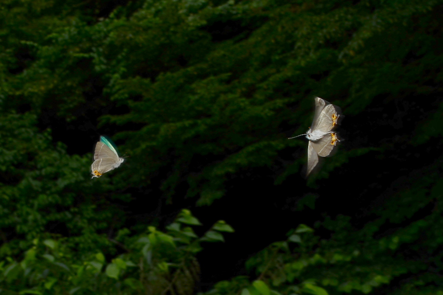 f0090680_22341635.jpg