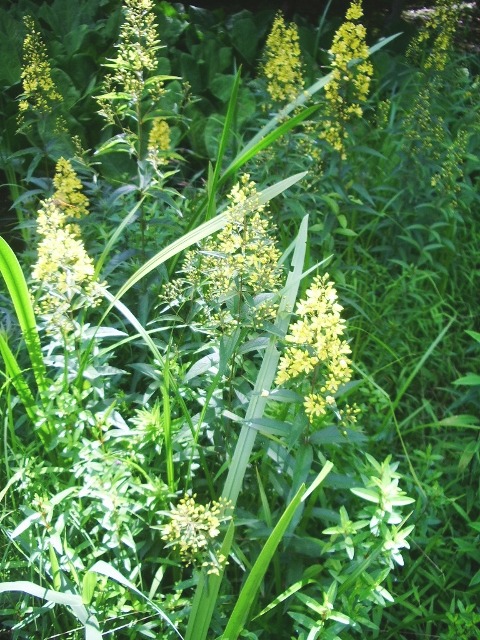 e0025300_20185674.jpg