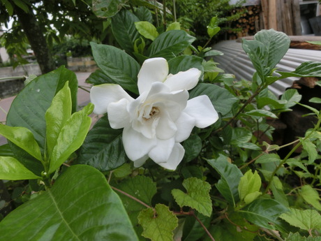 a0203003_19355862.jpg