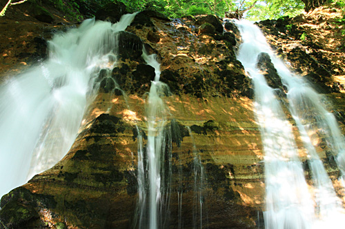 b0014607_9565082.jpg