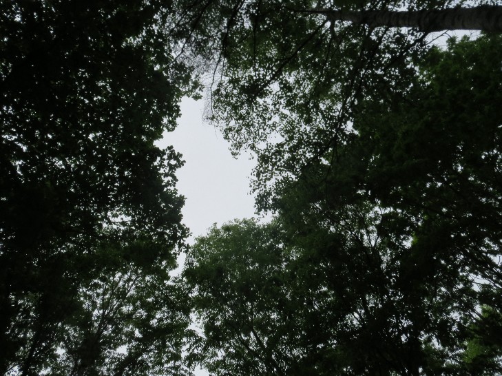 f0024708_3412362.jpg