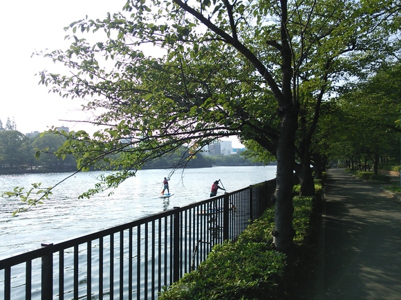 f0219810_22141327.jpg