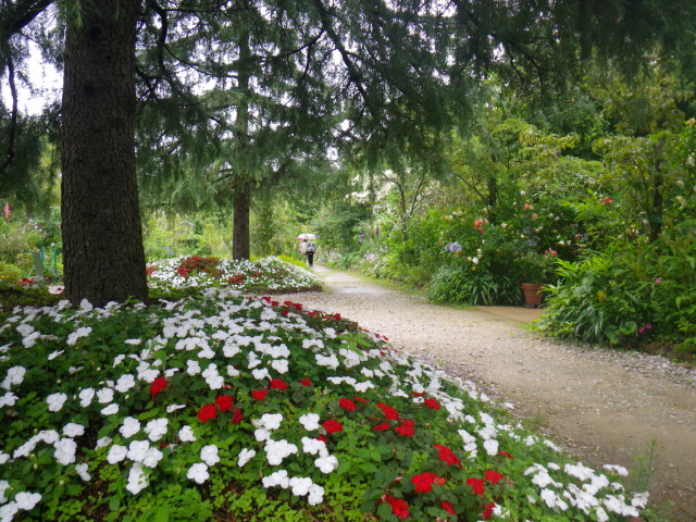 d0006512_1255365.jpg