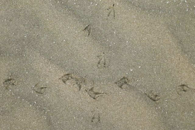 b0283019_16104856.jpg