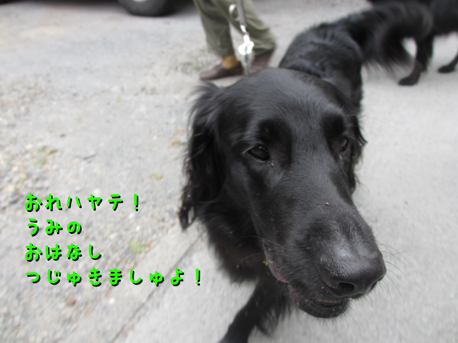 c0237824_11304775.jpg