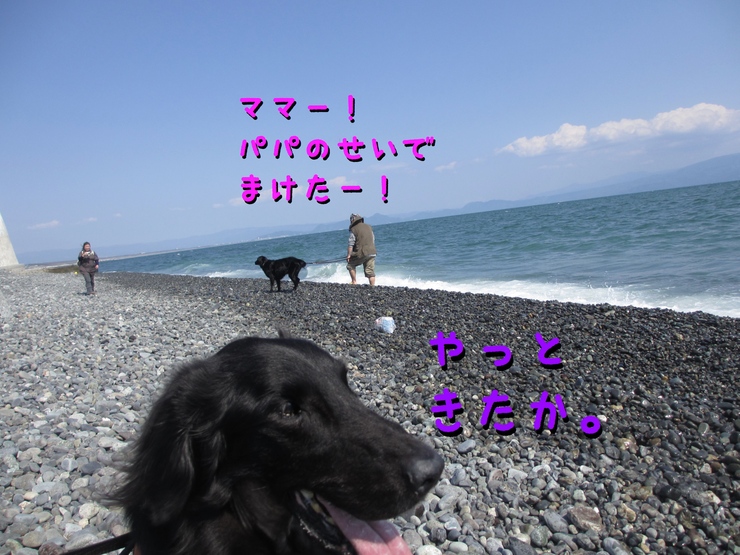 c0237824_11405119.jpg