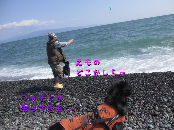 c0237824_11425743.jpg
