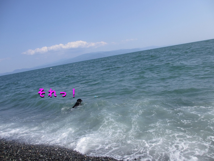 c0237824_11475272.jpg