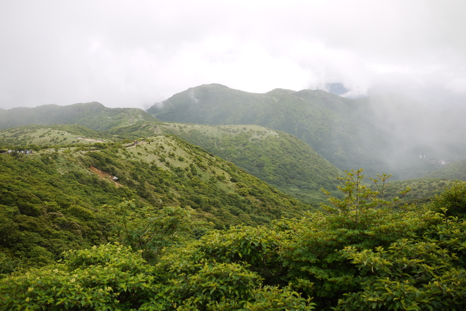 e0200926_13442473.jpg