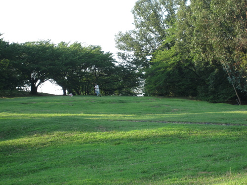 f0245650_838378.jpg