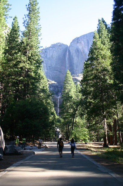 b0200852_4454176.jpg