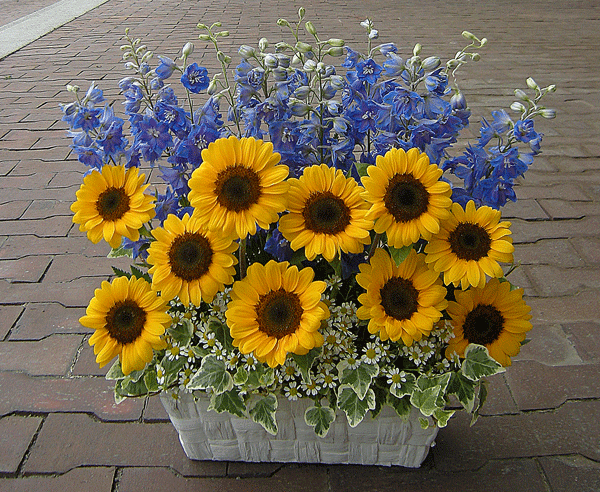 a0001354_230489.gif